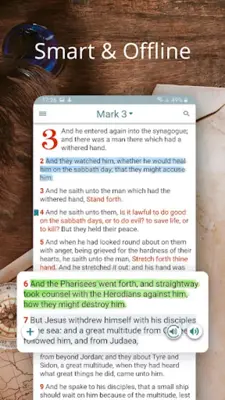 Matthew Henry Bible Commentary android App screenshot 8